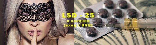 прущие грибы Костерёво