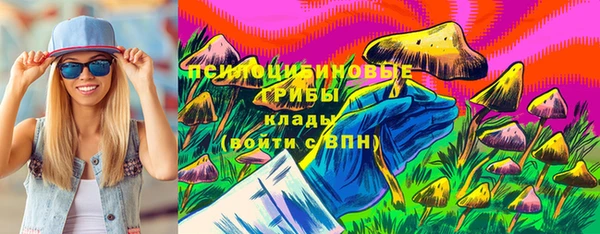 дмт Кострома