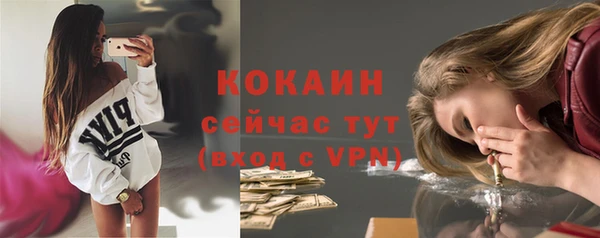 твердый Козельск