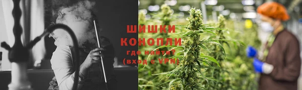 прущие грибы Костерёво