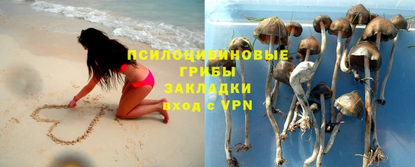 тгк Кулебаки