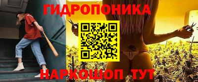 apvp Гагарин