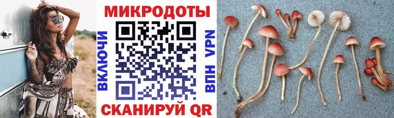Псилоцибиновые грибы GOLDEN TEACHER  купить наркоту  Мелеуз 