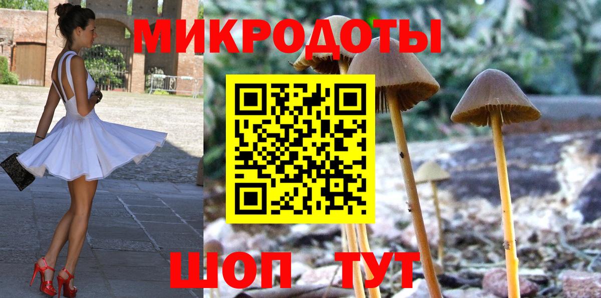 Псилоцибиновые грибы прущие грибы Мелеуз