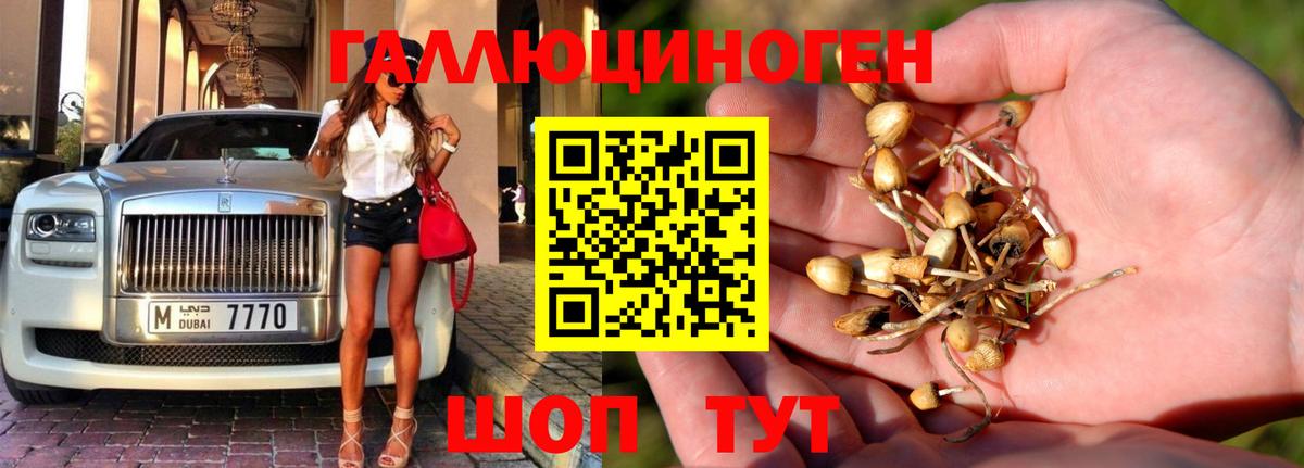 Галлюциногенные грибы Magic Shrooms Мелеуз