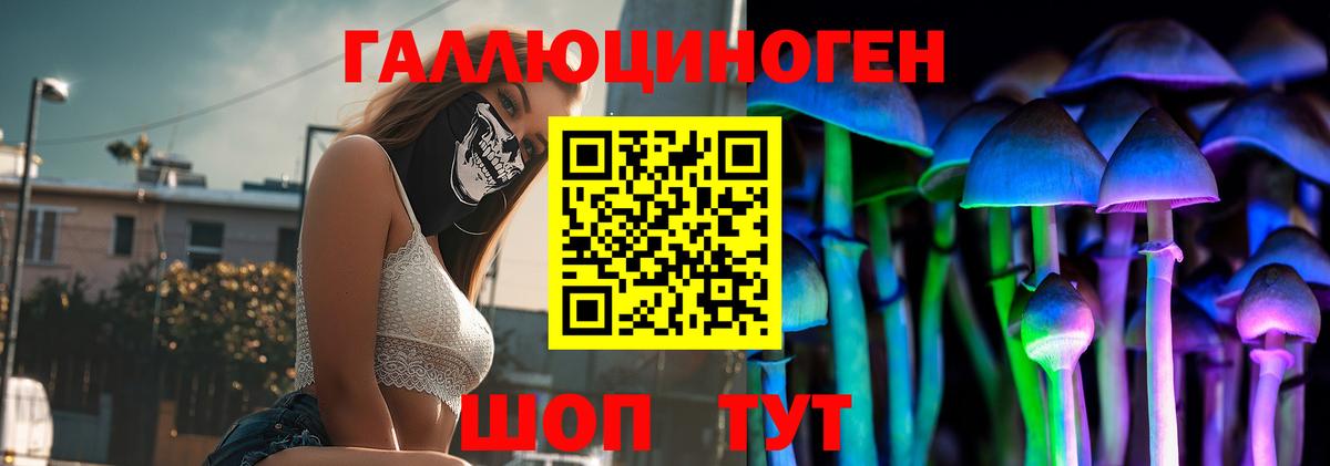 магазин продажи наркотиков  Галлюциногенные грибы Psilocybe  Мелеуз  Галлюциногенные грибы Psilocybine cubensis 